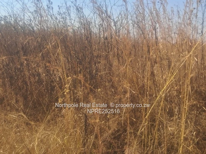 Sandton/Haydon Vacant Stand For Sale