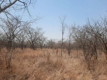 Farm & Agricultural Land