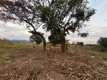 Stands & Residential Land