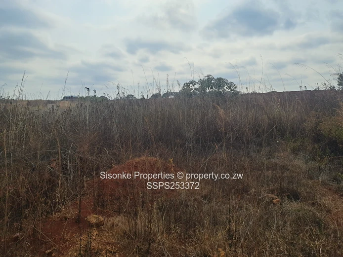 Nyeredzi Ridge  Phase 2A Stand For Sale