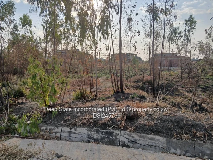 Cold comfort stand for sale 