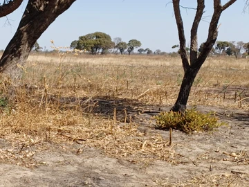 Farm & Agricultural Land