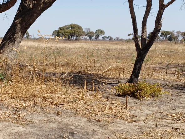 Farm & Agricultural Land