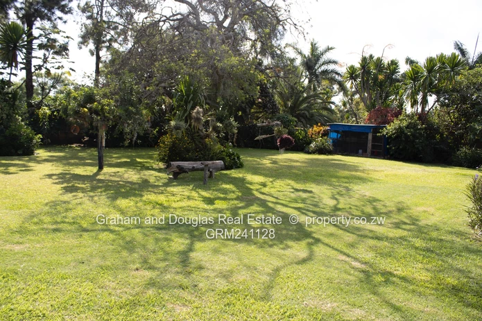 Property on Auction (Sole Mandate)