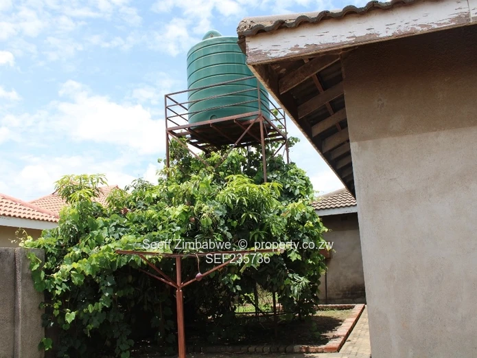 Lion Street House For Rent