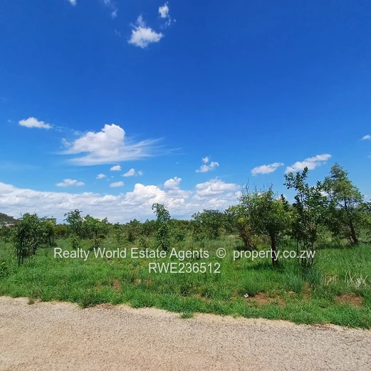 Masvingo Clipsham School Stand 