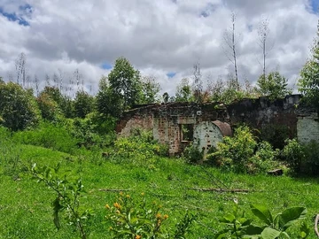 Farm & Agricultural Land