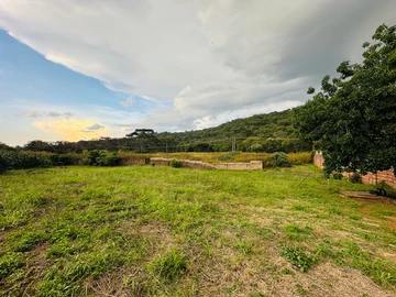 Cluster Stand for sale in Greystone Park