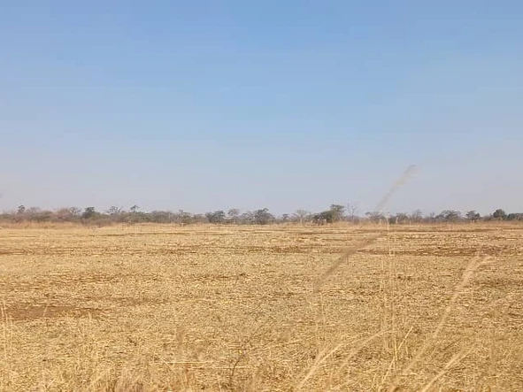 Farm & Agricultural Land