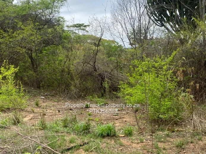 2.184 hectares of significant acreage plot in Christon Bank! (Sole Mandate)