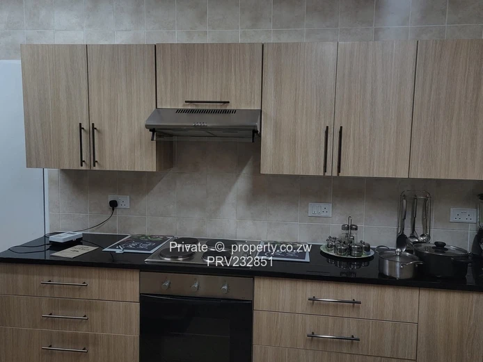 Fully Furnished Luxurious Apartment to let (Sole Mandate)