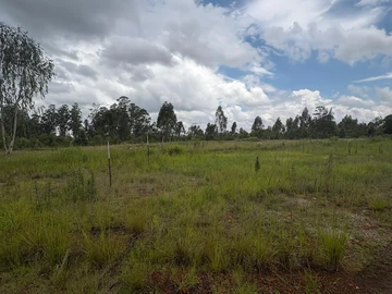 Commercial & Industrial Land