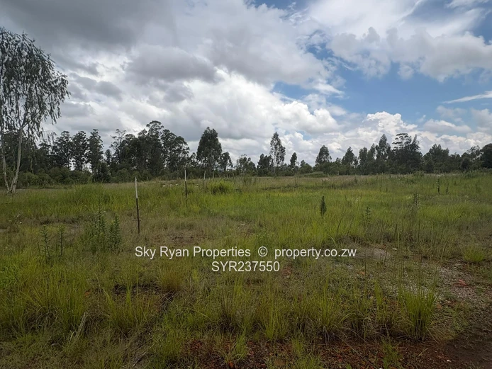 Mount Hampden Industrial stands for sale 