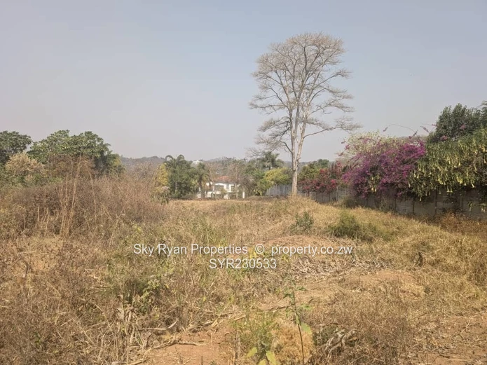 Helensvale (Elshadai) Stand For Sale 