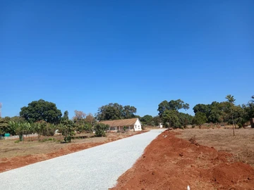 Stands & Residential Land