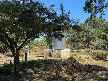 Farm & Agricultural Land