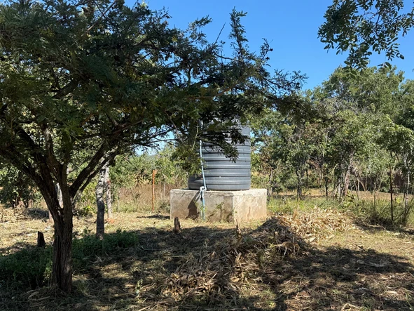 Farm & Agricultural Land