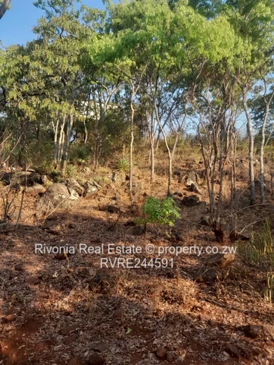 Elite residential stand  (Sole Mandate)