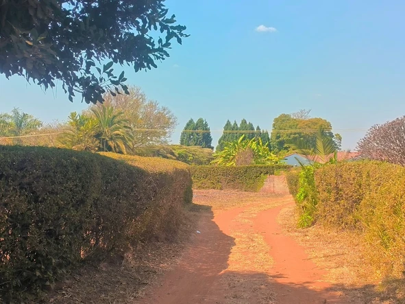 Land