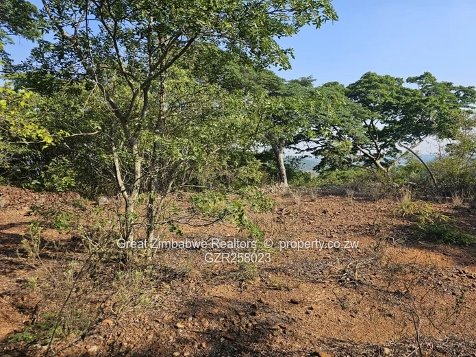 STAND FOR SALE IN BUSHMEAD TOWNSHIP, with Lakeview (Sole Mandate)