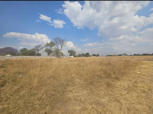 Stands & Residential Land