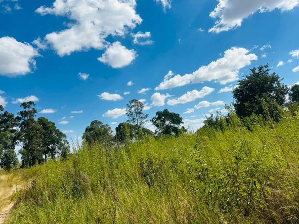 Commercial & Industrial Land