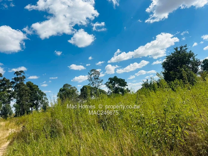 Prime 6.3091 hectares Land for Sale – Along Tarisa Road, Springvale, Ruwa  (Sole Mandate)