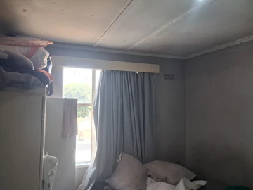 Flat & Apartment