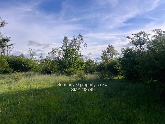 Agricultural Farm For Sale