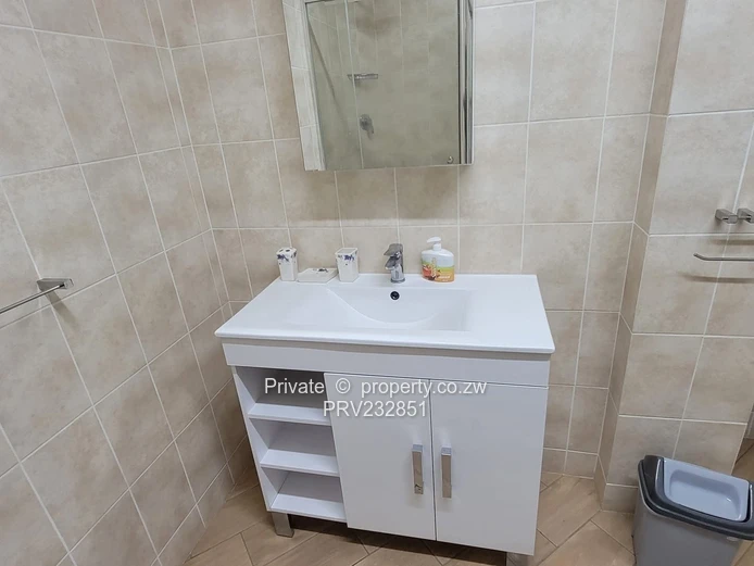 Fully Furnished Luxurious Apartment to let (Sole Mandate)