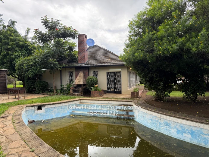 4BR Marlborough Home on 4000m² — Pool & Garden