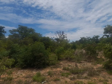 Farm & Agricultural Land