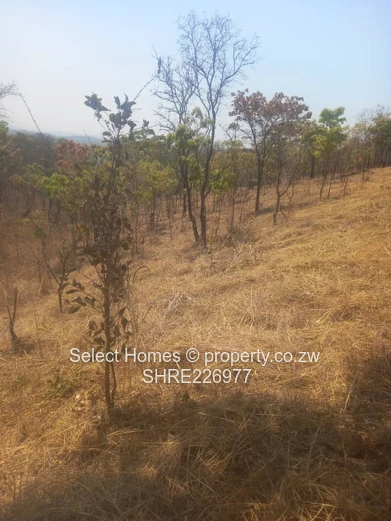 Shawasha Hills Land For Sale