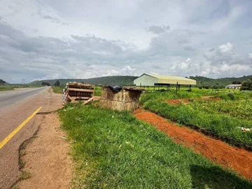 Farm & Agricultural Land