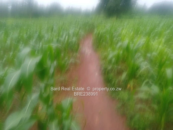 26ha Borrowdale — Subdivide-Ready, Main Road Frontage