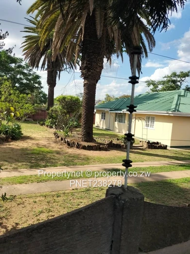 Investment Opportunity (Sole Mandate)