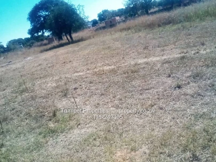 5ha Arable & Grazing Farm for Sale in Mvurwi