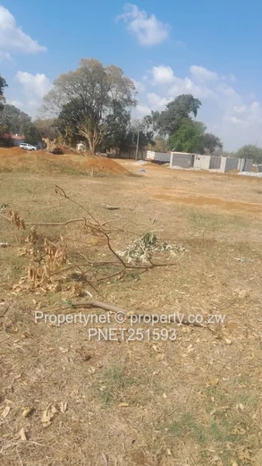 Ready To Built Next To Nyeredzi Tall Trees