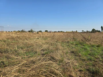 Stands & Residential Land