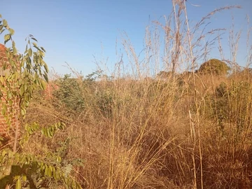 Commercial & Industrial Land