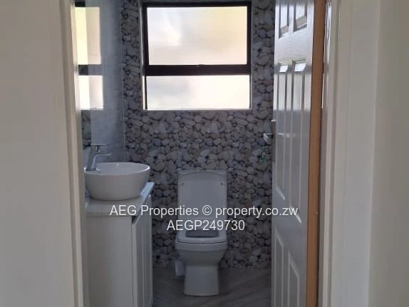 Apartment To Rent 
