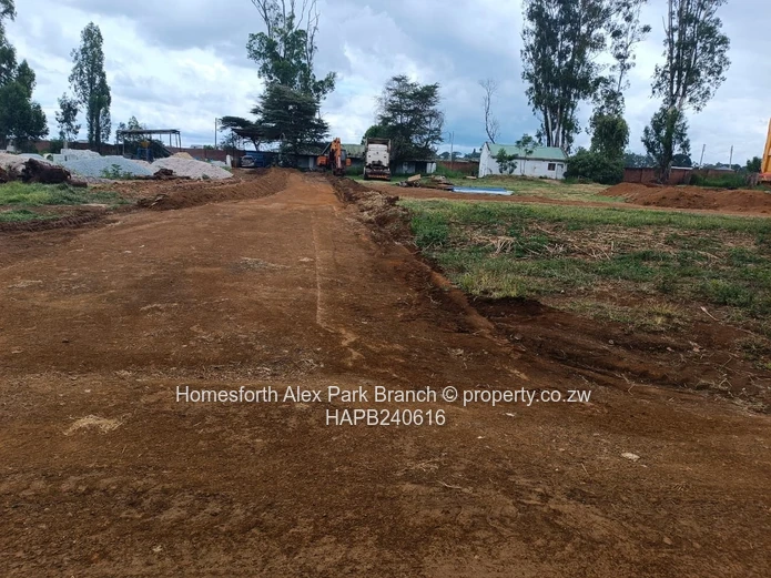 Borrowdale Tall Trees Estate Stands on Sale