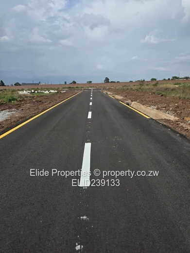 Spitzkop Phase 1 Stand For Sale (Sole Mandate)