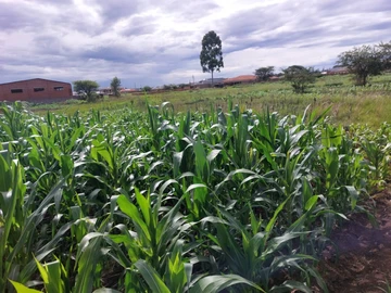 Commercial & Industrial Land