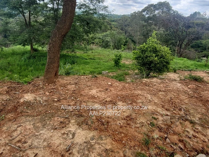 Prime Helensvale Residential Stand