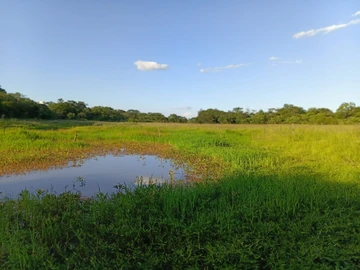 Farm & Agricultural Land