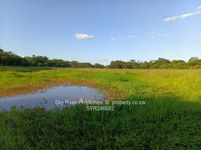 Beatrice Farm For Sale 