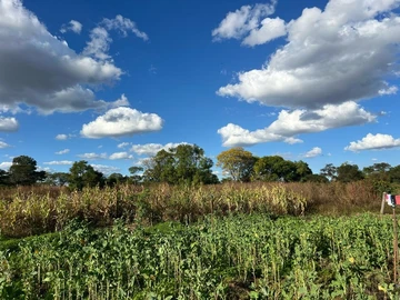 Farm & Agricultural Land