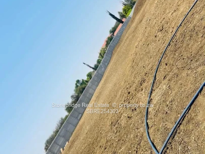 4000sqm Vacant Land in Buena Vista For Sale