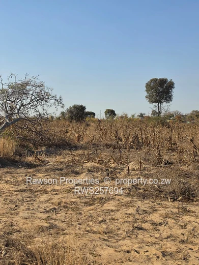 Investment Opportunity in Ruwa 